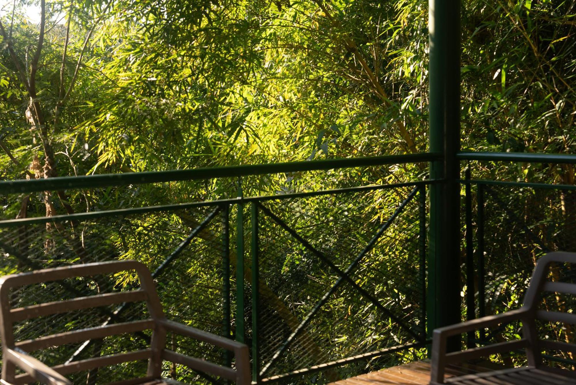 Iguazu Jungle Lodge Puerto Iguazú Exterior foto